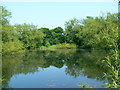 SU1782 : Pond, Coate Water, Swindon by Brian Robert Marshall