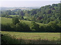 Lyd valley from near Longparks