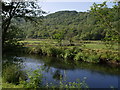 River Lyd and Hartly Wood