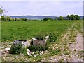 Pasture east of Redlynch