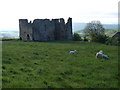 NY9084 : "Castle" in Ridsdale by Ian Paterson