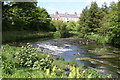 D0632 : Old weir on Bush River, Armoy, Co.Antrim by Dr Neil Clifton