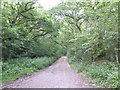 Bridleway onto Black Heath