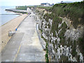 Cliftonville: Walpole Bay cliffs