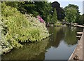 Swan Pool, Priory Park, Great Malvern