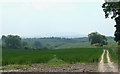 Shropshire Farm Land near Much Wenlock