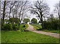 Track to College Farm