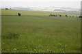 View across open fields