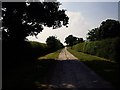 Farm road towards Austerson Farm