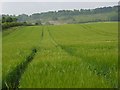 Farmland, Broughton