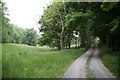 Track and bridleway beside clearing