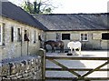 SP0008 : Breakfast time at Moor Wood Farm by Graham Horn