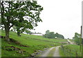 Track leading up to Wenallt Farm