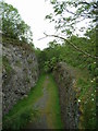 Disused railway cutting