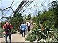 Eden Project