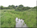 The Hundred River, Knodishall Common