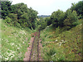 Disused Railway Track near Edwinstow