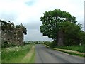 Old railway bridge