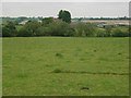 Across the fields to Hill Farm