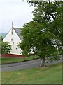 Old tree by new church