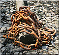 Rusty chain on the Tamar shore