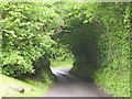 Dorset country lane