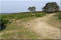 SU2016 : Disused car park on Deadman Hill, New Forest by Jim Champion