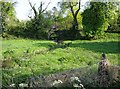 Stream through the edge of Avening