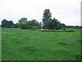 Farmland near Feltham Farm