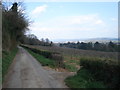 Lane above Putley apple orchards