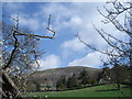 Pasture near Mathon Lodge