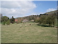 Sheep pasture near Mathon Lodge