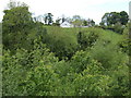 Wooded valley west of Cabra Road