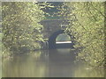 SO9160 : Close-up of Dunhampstead Tunnel by Trevor Rickard