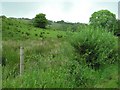 Carrick Townland