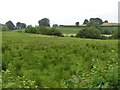 Oghill Townland