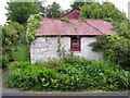 H2166 : Old farm building at Dernacapplekeath by Kenneth  Allen