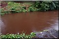 The River Bann beyond Dunbar