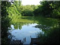 Pond on the outskirts of Canterbury