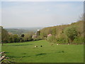 Looking north from Dinmore Hill