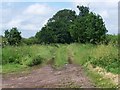 Footpath From Nursery Farm