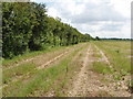 Field at Fleet Marston Farm