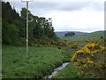 Upstream Cushnie Burn