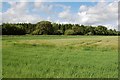 NO1240 : Barnes' Meadow by John Allan