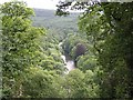 The River Tamar