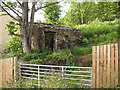 Ruin off Cow Gate next to Longwood Gate, Longwood