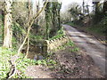 Lane from Upton Bishop to Kempley