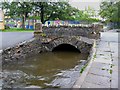 Bridge in Ward Park