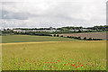 Government buildings NE of Porton