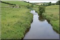 The Newry River at the Sheep Bridge